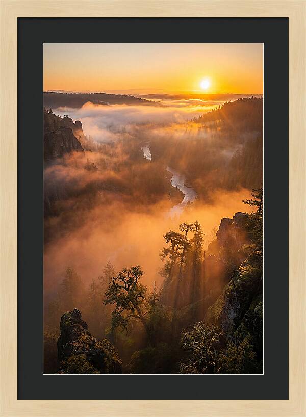 Foggy Valley Sunrise