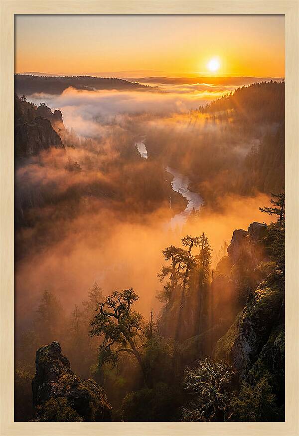 Foggy Valley Sunrise