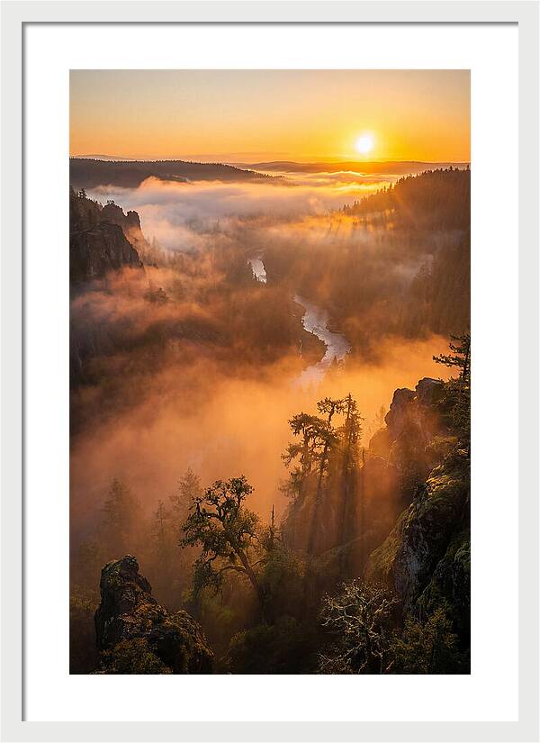 Foggy Valley Sunrise