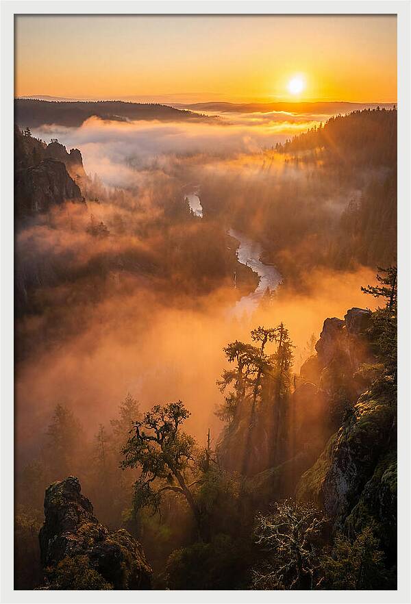 Foggy Valley Sunrise