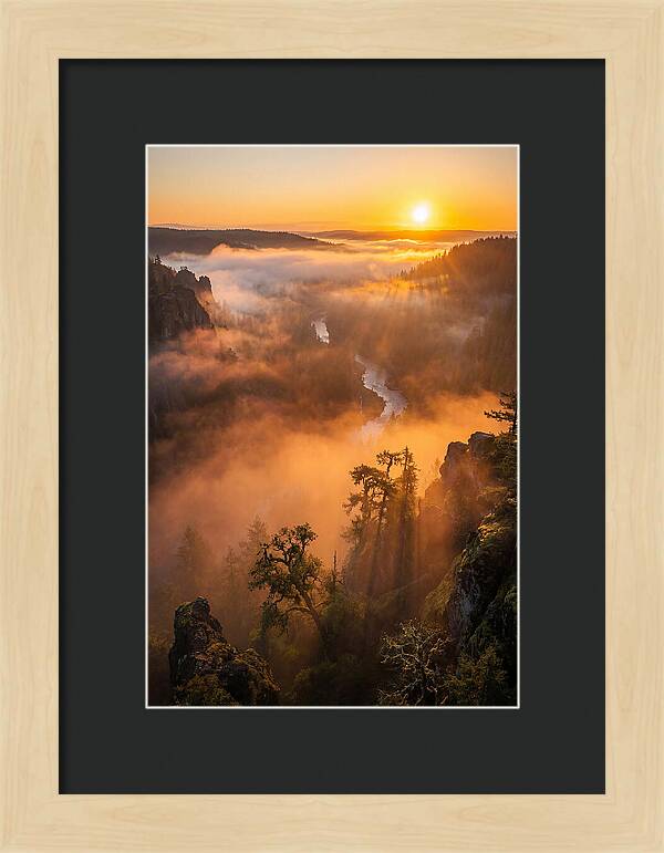 Foggy Valley Sunrise