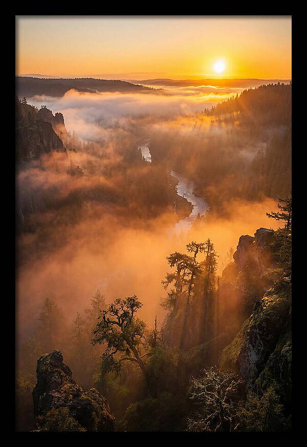Foggy Valley Sunrise