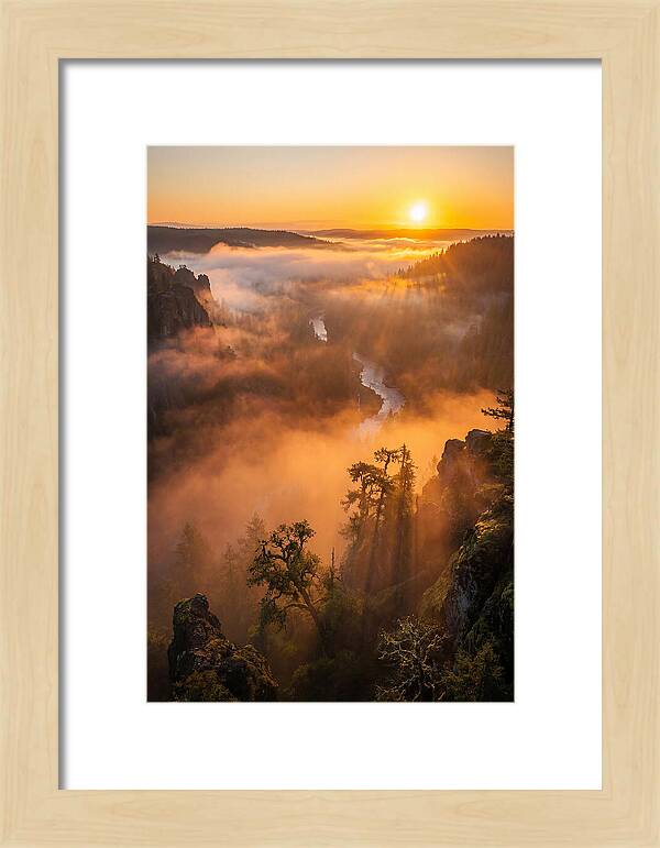Foggy Valley Sunrise