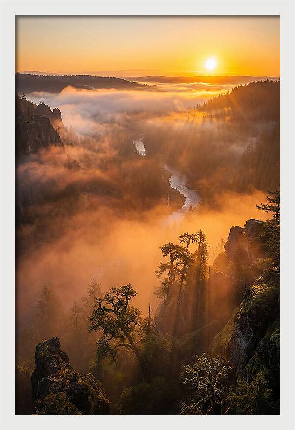 Foggy Valley Sunrise