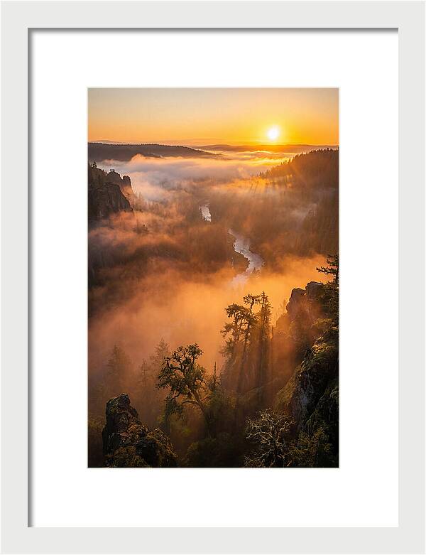 Foggy Valley Sunrise