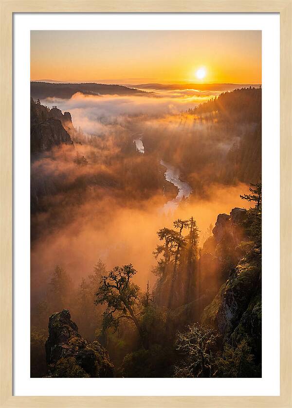 Foggy Valley Sunrise