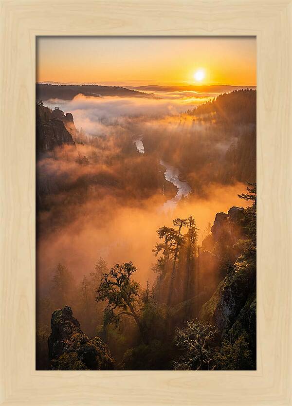 Foggy Valley Sunrise