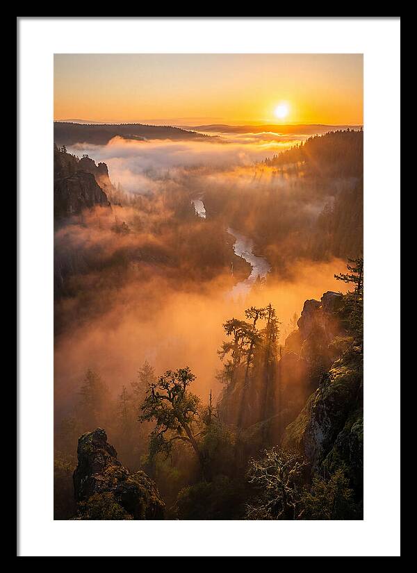 Foggy Valley Sunrise