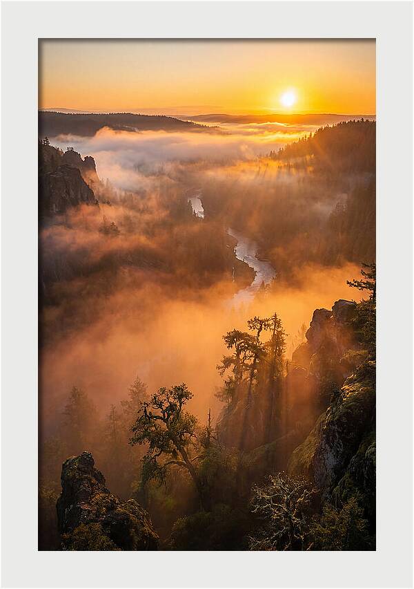 Foggy Valley Sunrise