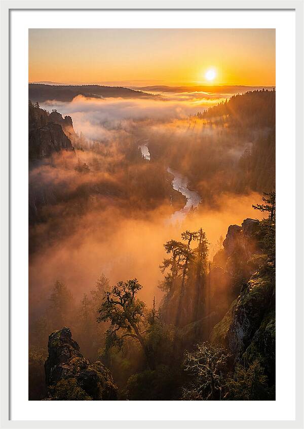 Foggy Valley Sunrise