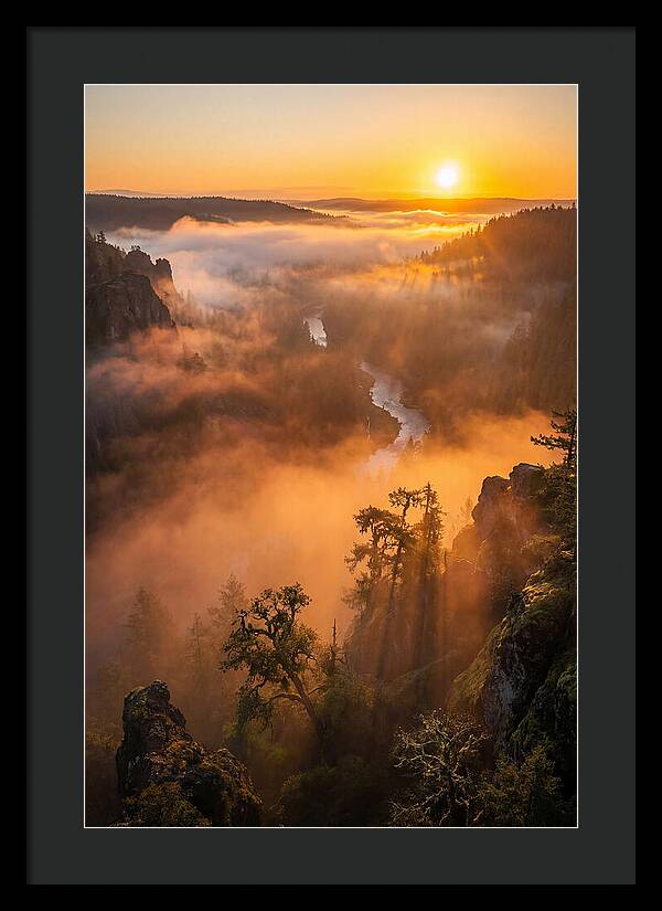 Foggy Valley Sunrise