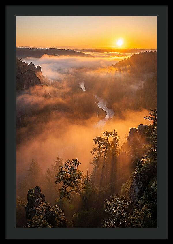 Foggy Valley Sunrise