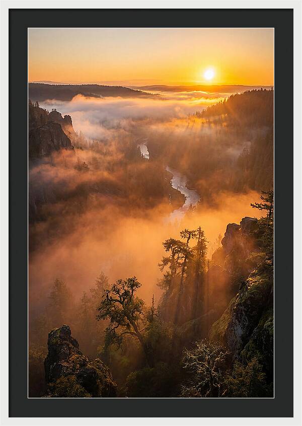 Foggy Valley Sunrise