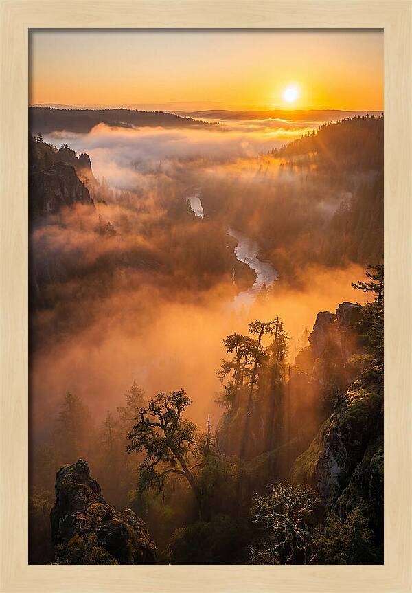 Foggy Valley Sunrise