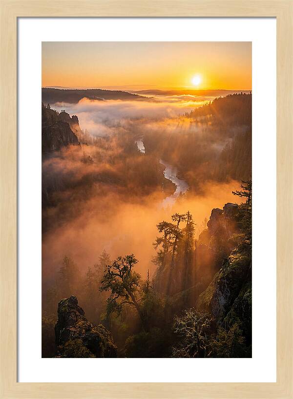 Foggy Valley Sunrise