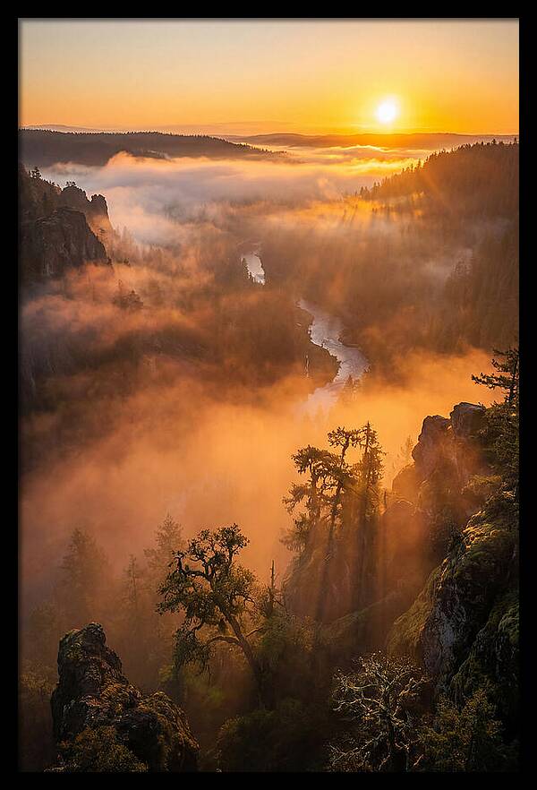 Foggy Valley Sunrise