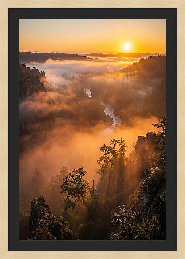 Foggy Valley Sunrise
