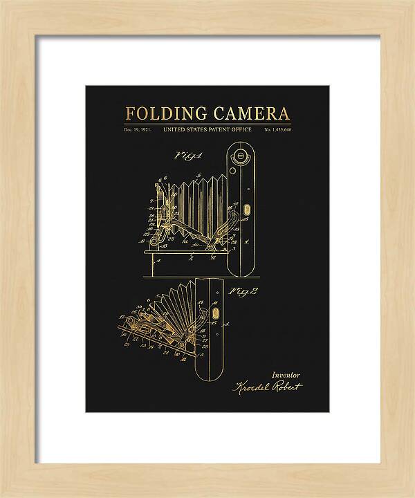 Folding Camera Gold Patent Us1435646