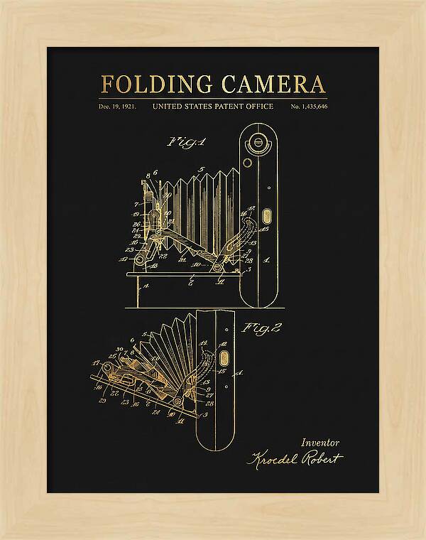 Folding Camera Gold Patent Us1435646