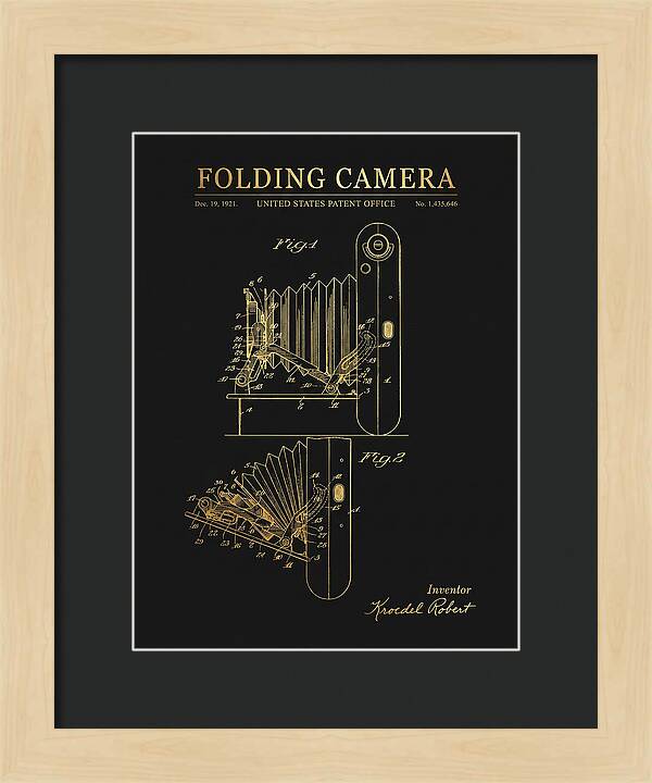 Folding Camera Gold Patent Us1435646