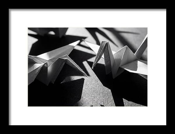 Folding Shadows