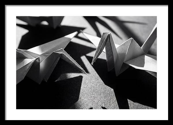 Folding Shadows