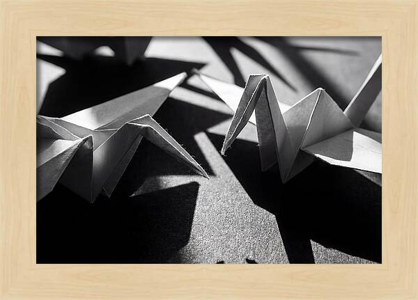 Folding Shadows