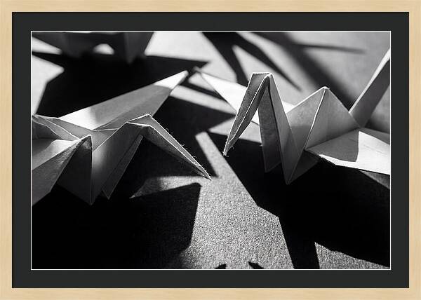 Folding Shadows