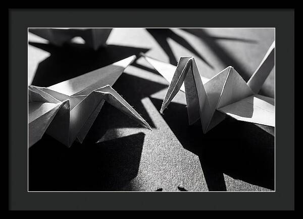 Folding Shadows