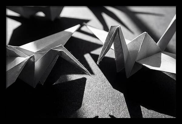 Folding Shadows