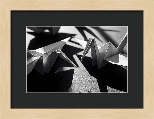 Folding Shadows