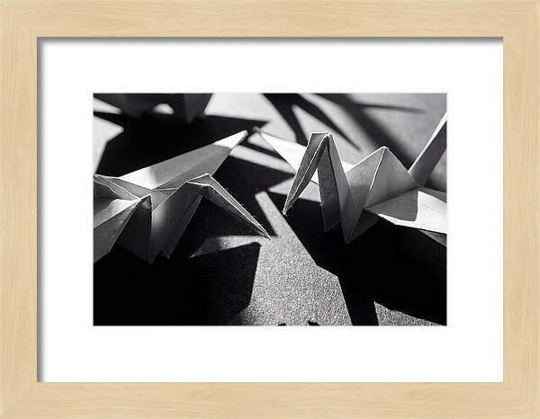 Folding Shadows