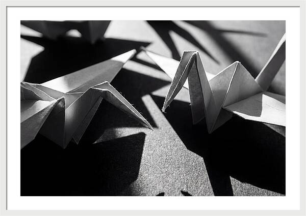 Folding Shadows
