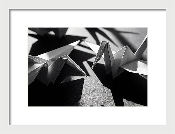 Folding Shadows