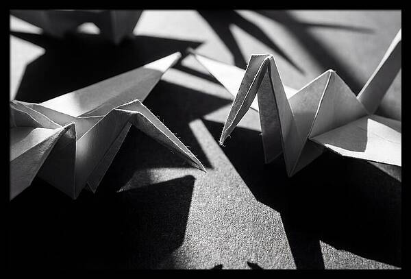 Folding Shadows