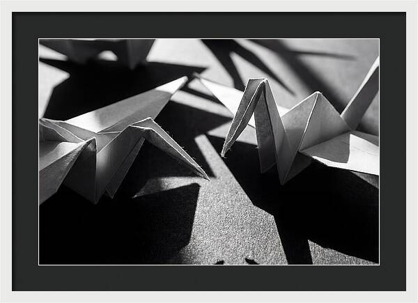 Folding Shadows