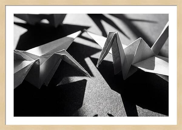 Folding Shadows
