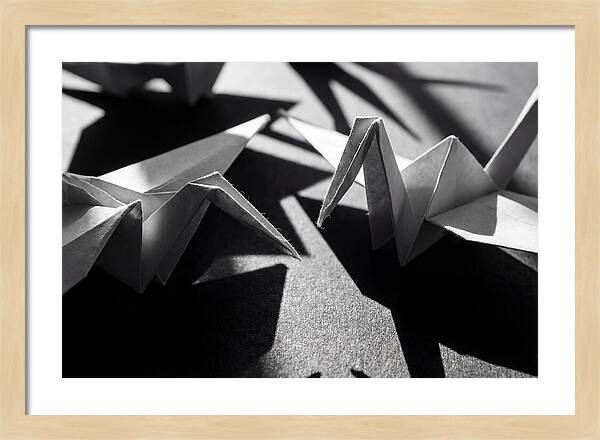 Folding Shadows