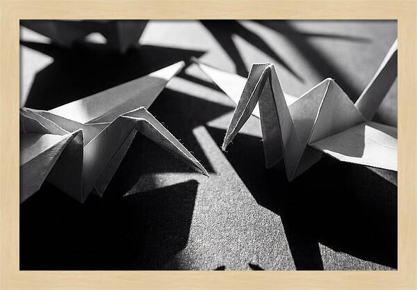 Folding Shadows