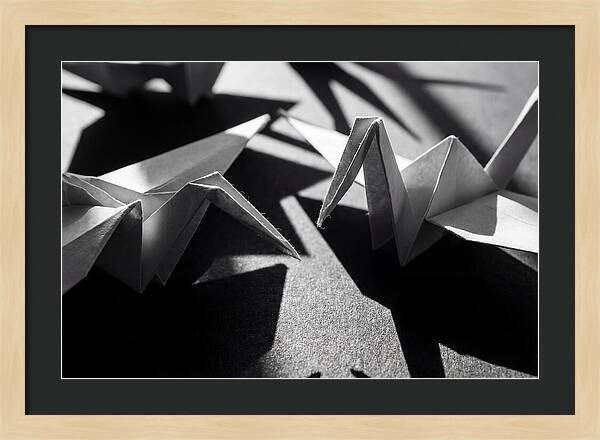 Folding Shadows