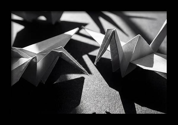 Folding Shadows