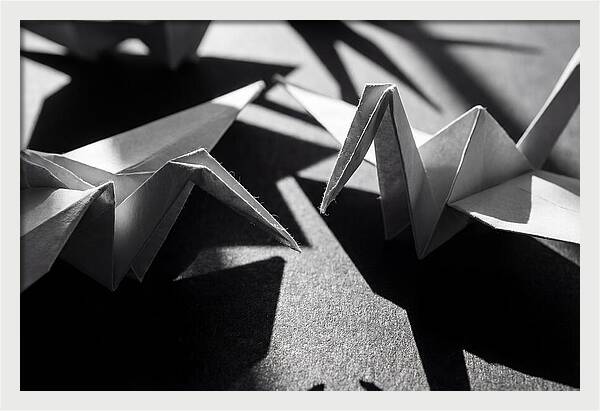 Folding Shadows