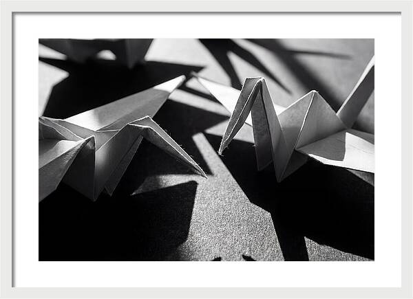 Folding Shadows