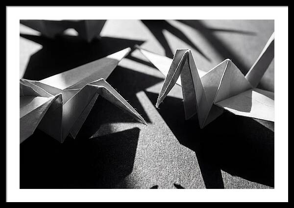Folding Shadows
