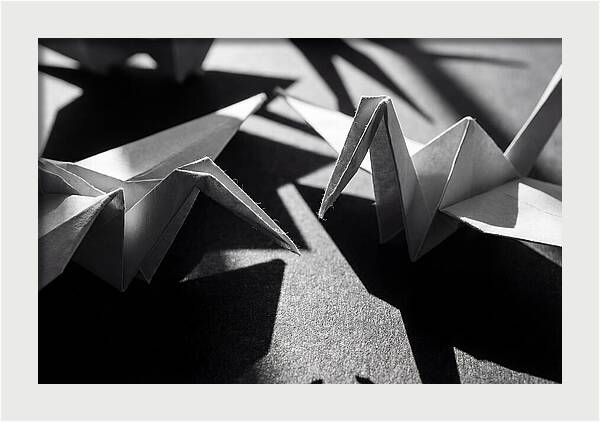 Folding Shadows