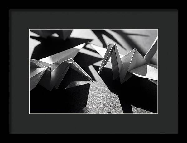 Folding Shadows