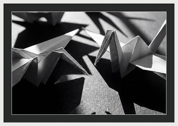Folding Shadows