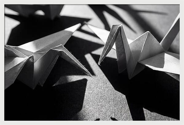 Folding Shadows