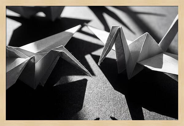 Folding Shadows
