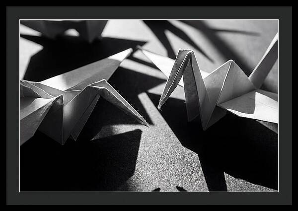 Folding Shadows